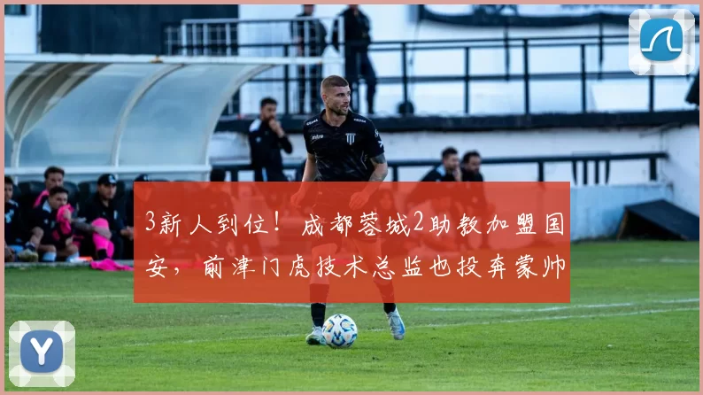 3新人到位！成都蓉城2助教加盟国安，前津门虎技术总监也投奔蒙帅
