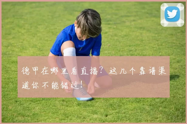 德甲在哪里看直播?这几个靠谱渠道你不能错过!