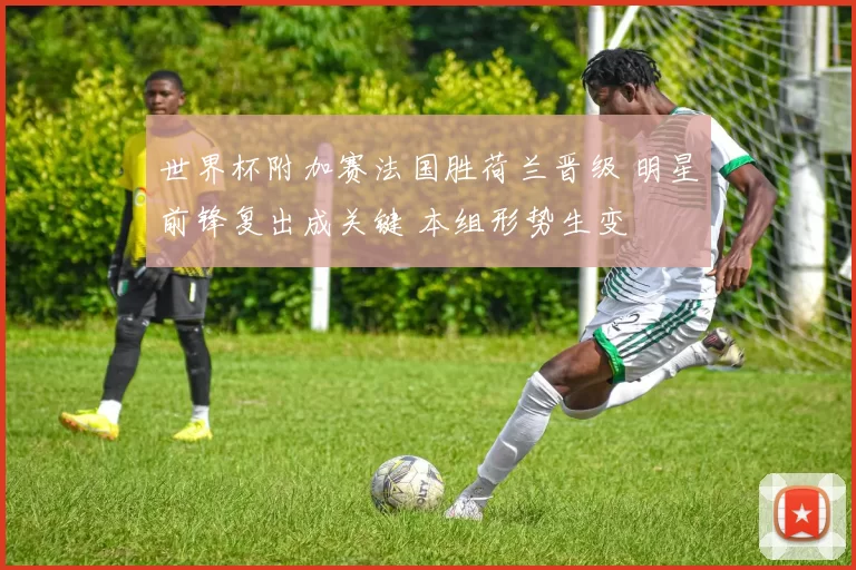世界杯附加赛法国胜荷兰晋级 明星前锋复出成关键 本组形势生变