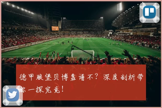 德甲狼堡贝博靠谱不？深度剖析带你一探究竟！